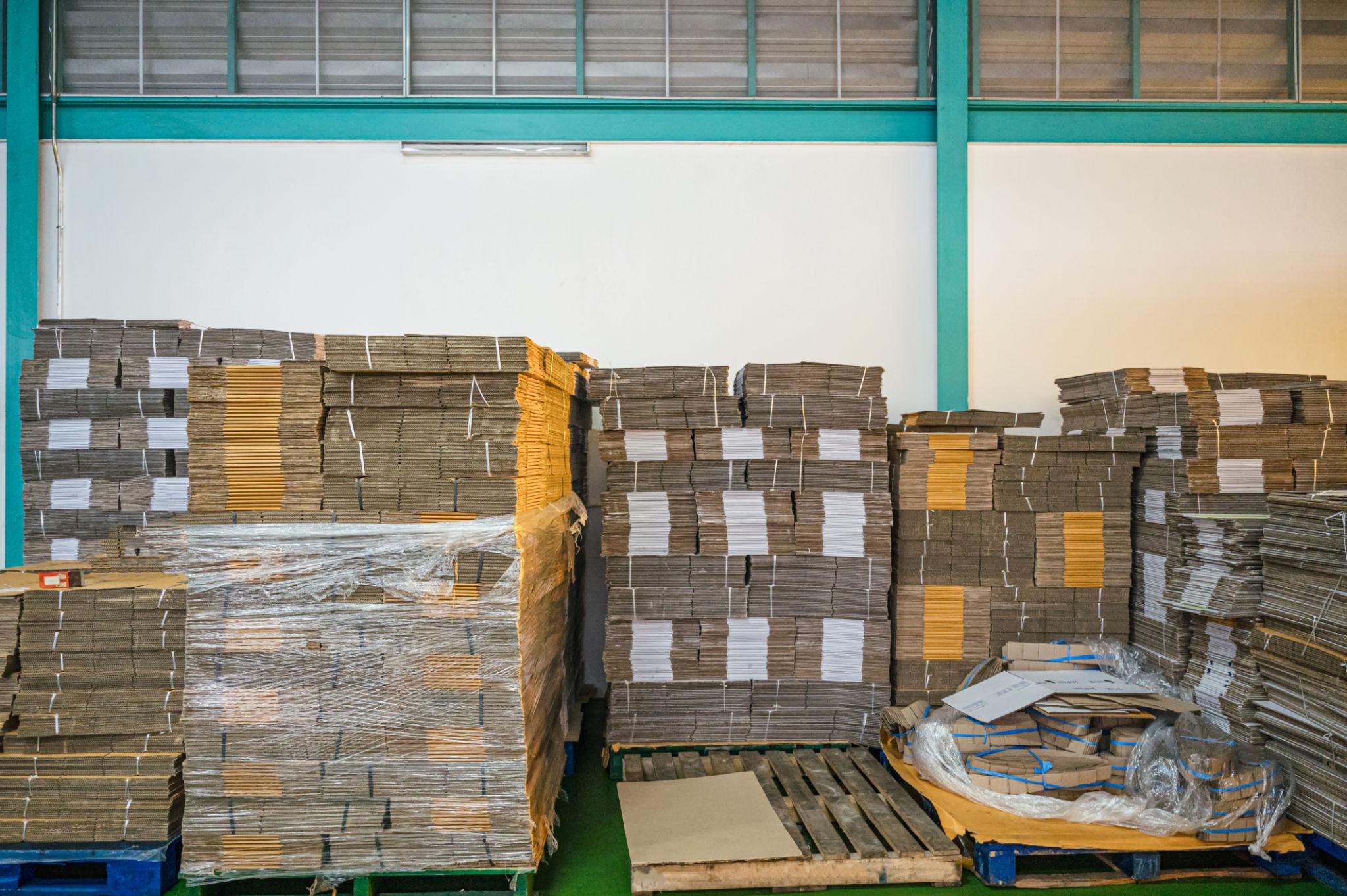 About Us chameleon packaging cart board